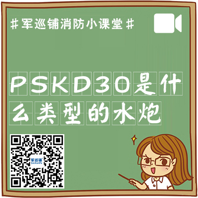 PSKD30是什么类型的水炮